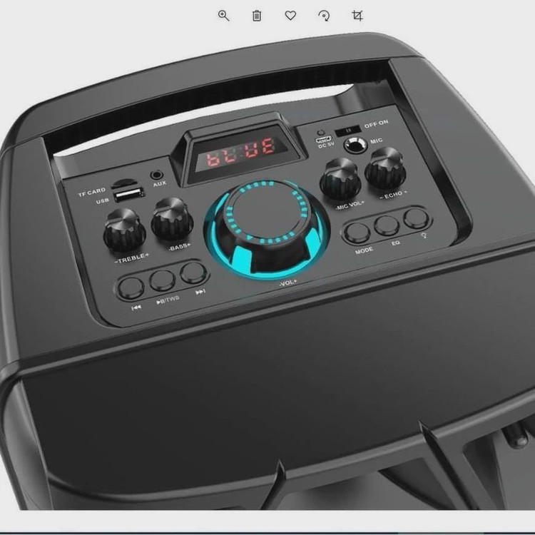 اسپیکر قابل حمل بلوتوثی (16 اینچ) ZQS8210